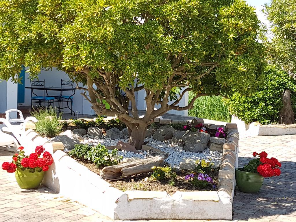 L'Auberge Camarguaise Saintes-Maries-de-la-Mer Eksteriør billede